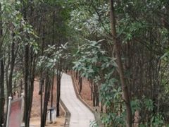-火炉山森林公园
