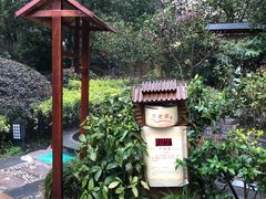 -黄山温泉国际旅游度假区