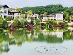 -铁山坪森林公园