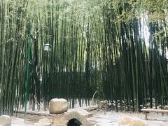 -竹泉村旅游度假区