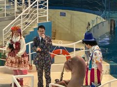 -泉城欧乐堡海洋极地世界