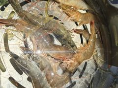 大青虾-大岳·蒸汽海鲜(北清路店)
