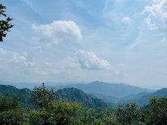 -大岭沟猕猴桃谷风景区