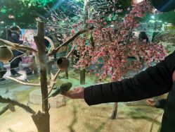 -酷嗒动物文化乐园(cutezoo西溪乐天城店)