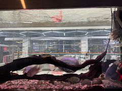 -弓舍射箭俱乐部(高新总店)