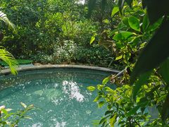 -碧桂园润杨溪谷温泉酒店