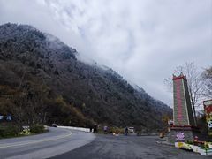 -金鼎雪山牦牛杂火锅(理县总店)