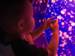 -白鹿仓冰雪海洋世界
