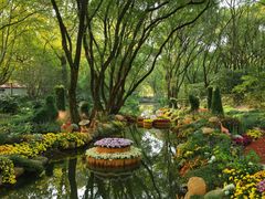 -上海共青森林公园