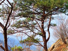 -北京鹫峰国家森林公园
