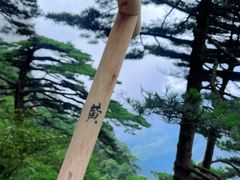 -黄山风景区