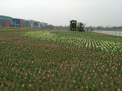 -廊坊文化艺术中心