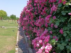 -广富林郊野公园