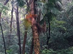 -杭州林泉山庄