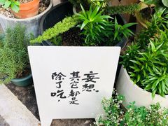 -溪岸路花鸟市场