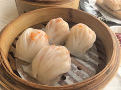 -广州建国酒店-盈丰阁粤菜-粤式茶点