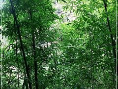 -马岭河峡谷风景区
