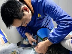 -半岛宠物医院24小时(科华中路店)