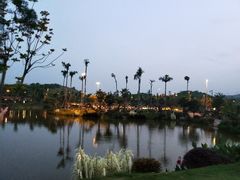 -枫香湖儿童公园