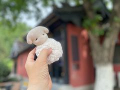 -浮庄
