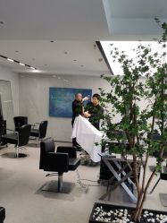 -付军剪艺JF ProSalon