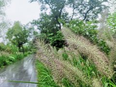 -木守西溪溪隐餐厅