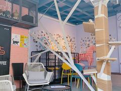 -喵屿·大理花园猫咖