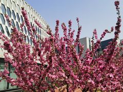 -北京园博大酒店