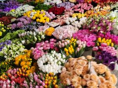-双季花艺园艺市场(浦东店)