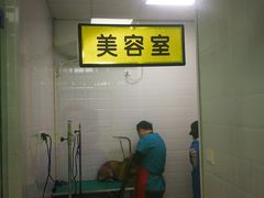 -圣宠动物医院·犬猫专科·影像中心·外科中心