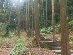 -凤栖山