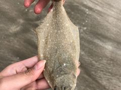 -嵊泗基湖沙滩
