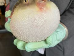 -永安鱼庄·镇江菜(东吴路店)