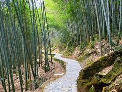 -黄山翡翠谷景区