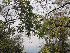 -火炉山森林公园