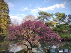-杭州植物园