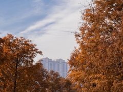 -厦门园林博览苑