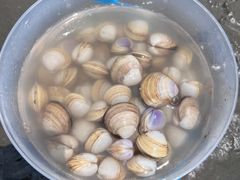 -启东黄金海滩景区