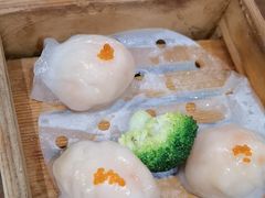 -龙悦湾酒家·八阵鱼生·渔人码头店