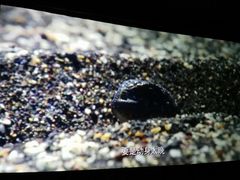 -UME影城(安贞DTS:X店)