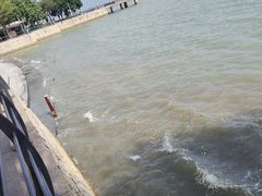 -深圳湾公园(南山区)