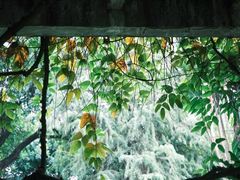 -华南国家植物园-售票处