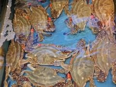 -添福来墨鱼饺子 · 海鲜东北菜(大连星海·黄浦路店)