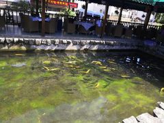 -京北渔家傲