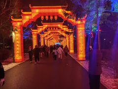 -长春市南湖公园