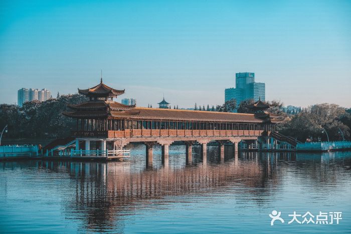 梅溪湖公园图片