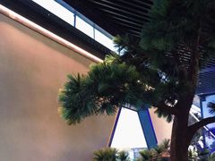 -绿茶餐厅(成都大悦城店)