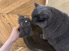 -Me Coffee下午茶艺术空间