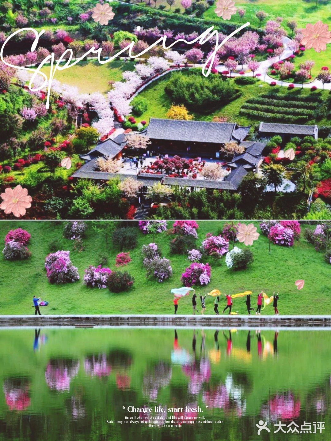 成都绣球花，解锁花舞人间绝佳拍照地