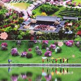 成都绣球花，解锁花舞人间绝佳拍照地